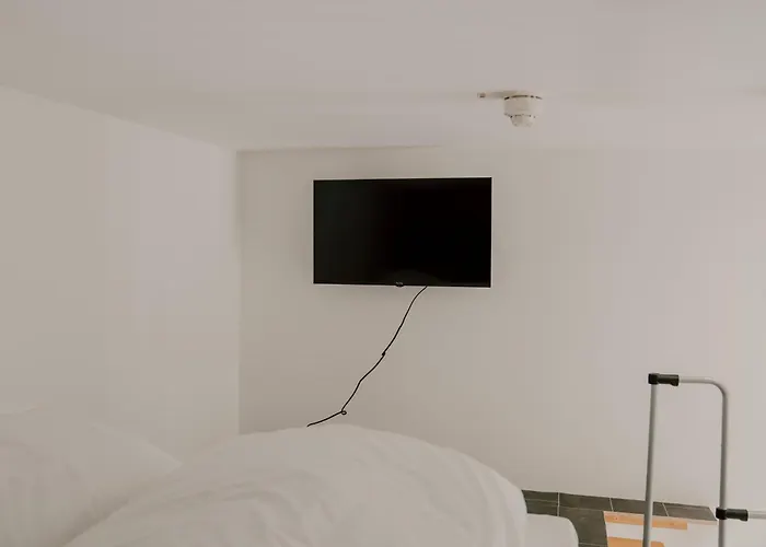 12 Monkeys Apartament *